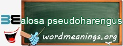 WordMeaning blackboard for alosa pseudoharengus
